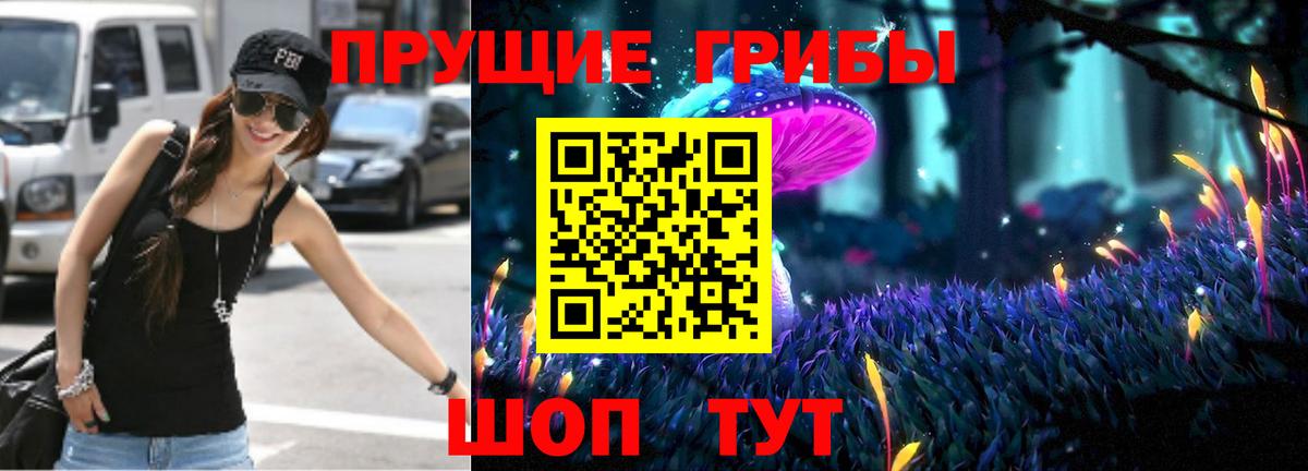 Псилоцибиновые грибы GOLDEN TEACHER  Вход с VPN  Псилоцибиновые грибы Psilocybe  Вязники 